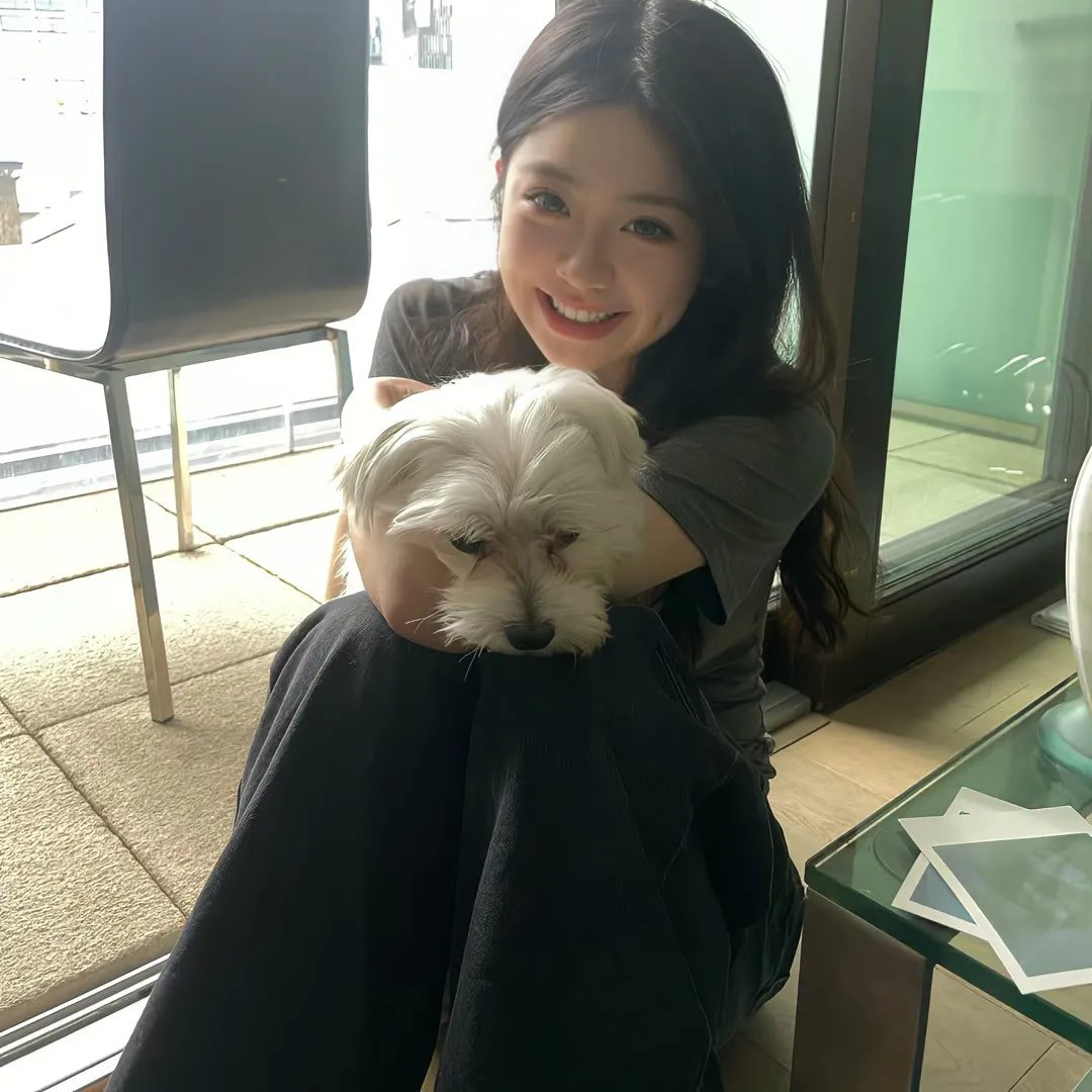 隆美尔宝藏